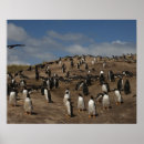 Suche nach kolonie poster Insel