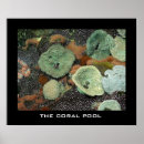 Suche nach exotische fische kunst Korallen