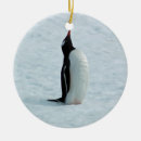 Suche nach die antarktis ornamente Eis