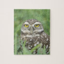 Suche nach athene puzzle Vogel