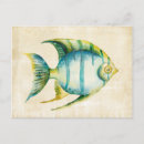 Suche nach aquarium postkarten Meeresleben