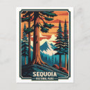 Suche nach grizzlybären postkarten Reise