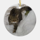 Suche nach wildkatzen ornamente Weihnachten