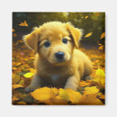 Suche nach labrador welpe magnete Herbst