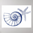 Suche nach nautilus seashell poster Meer