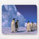 Suche nach kolonie mousepads Eis