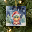 Suche nach albern ornamente Weihnachten