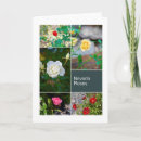 Suche nach rosa gelbe rosen karten Schön