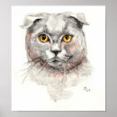 Suche nach scottish fold poster Katze