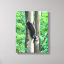 Suche nach junges tier leinwandbilder Wälder