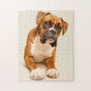 Suche nach boxer puzzle Tier