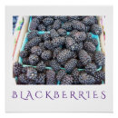 Suche nach blackberry kunst Küche