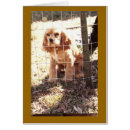 Suche nach cockerspaniel postkarten Welpen
