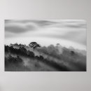 Suche nach pine forest poster Woods