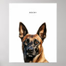 Suche nach malinois poster Hund