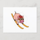 Suche nach cooles schwein poster Tier