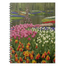 Suche nach garden kleine notizbücher Farbenfroh