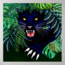 Suche nach forest animals poster Cat
