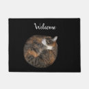Suche nach schlafenmiezekatze Niedlich