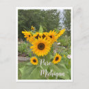 Suche nach sunflower postkarten Sommer