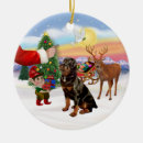 Suche nach rottweiler weihnachten ornamente Haustiere