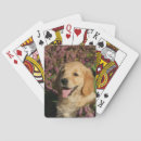 Suche nach puppy spielkarten Retriever