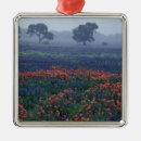 Suche nach eiche ornamente Natur