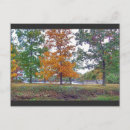 Suche nach baum horizontale fotokarten Landschaft