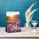 Suche nach gallery fotoplatten Sonnenuntergang