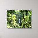 Suche nach tropischer regenwald leinwandbilder Natur