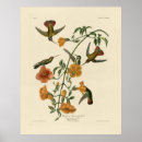 Suche nach mango poster Illustration