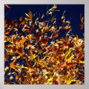 Suche nach schöne fall poster Baum