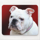 Suche nach begleiter mousepads Freund