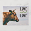 Suche nach veganes postkarten Vegan gehen