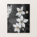 Suche nach schwarzweiß puzzle Blume