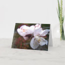 Suche nach orientale karten Blume