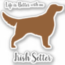 Suche nach kastanie Hund