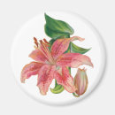 Suche nach vintage lilie magnete Rosa