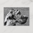Suche nach great dane hund visitenkarten Tiere