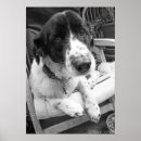 Suche nach sad poster Dog