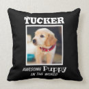 Suche nach basset kissen Beagle