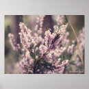 Suche nach der heide poster Wald