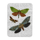 Suche nach schmetterlinge magnete Blätter zur blume