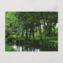 Suche nach feeder postkarten Natur