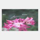 Suche nach kolibri aufkleber Natur