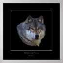 Suche nach wolfe poster Tierwelt
