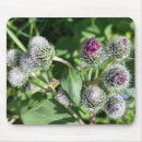 Suche nach spinne mousepads Grün