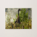 Suche nach moos puzzle Fotografie