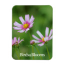 Suche nach kosmos magnete Blume