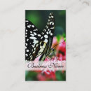 Suche nach rote schmetterlinge visitenkarten Modern